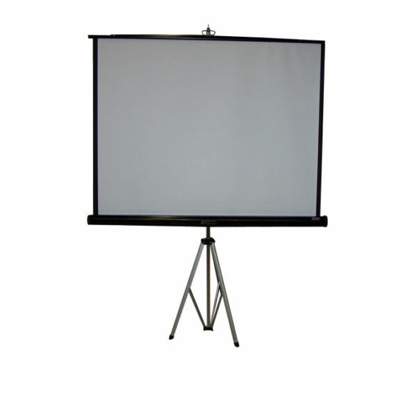 Projection screen (5' x 5')