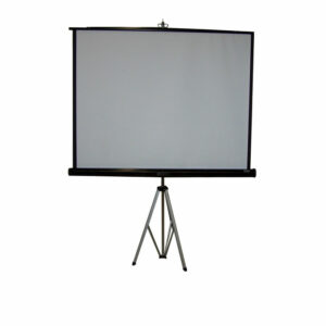 Projection Screen (7' x 7')
